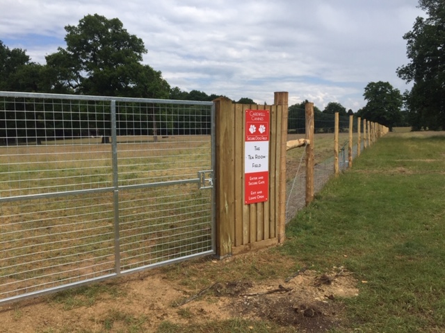 1652 41436b8aa10aac4a01655dc9565d89c8 1