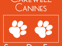 1652 6f4dcc9326e15a15af5b116dc7ed9950 1