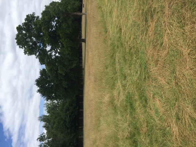 1652 99abef416b47c74fb0594b887e60711f 1