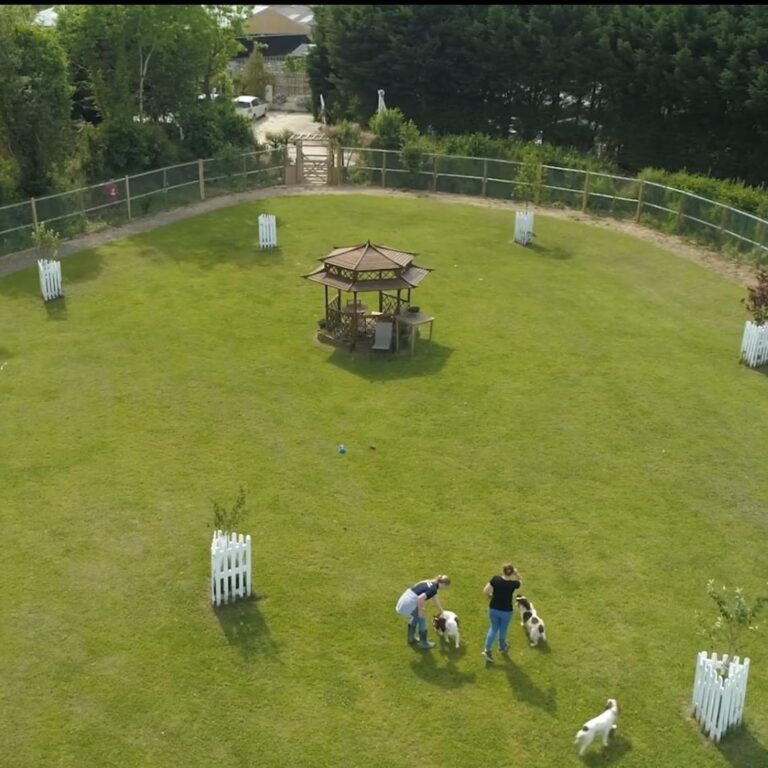 1653 3665ae09e82cef973b8fe856a099d195 1 768x768