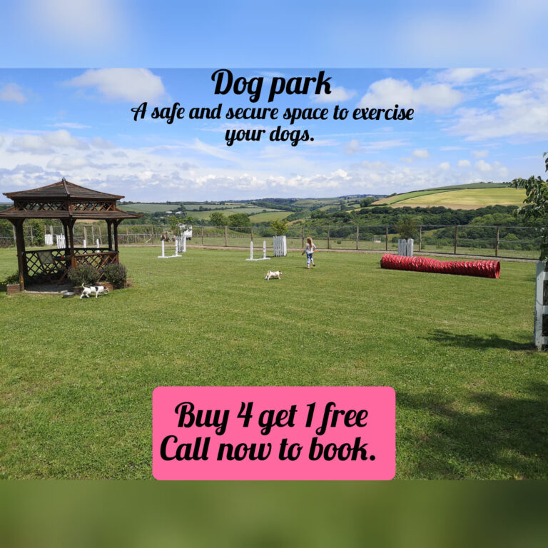 1653 67f8dbaa6e10b15c0fcd7c992bfbb448 1 768x768