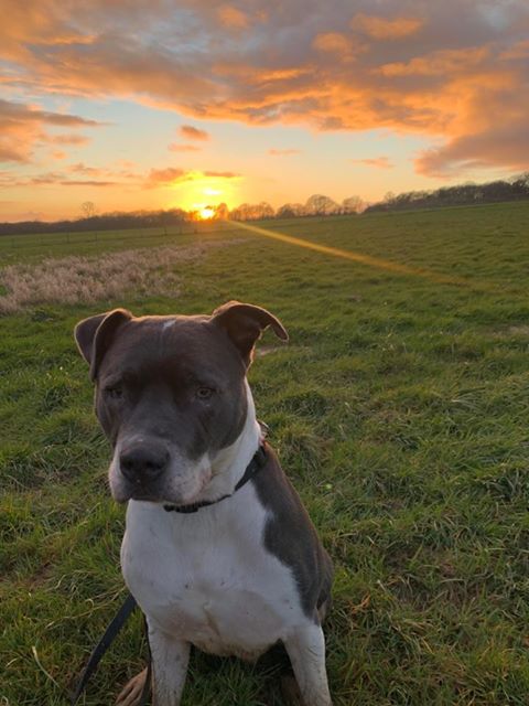 1654 2838ee173a0ca93bc3bdad3df0b24141 1