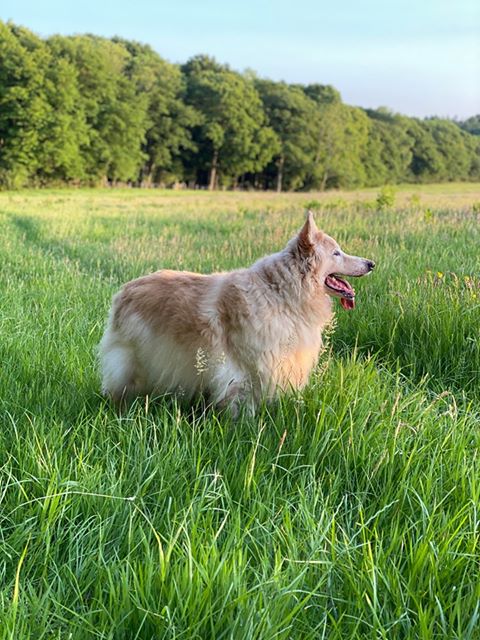 1654 ae91e7ad9ac288b0bc652cb6f6b47708 1