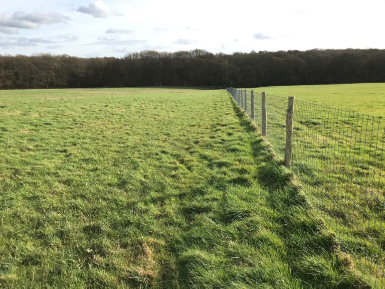 1654 d32e8afc601e543d7625bd93116fa345 1 768x576