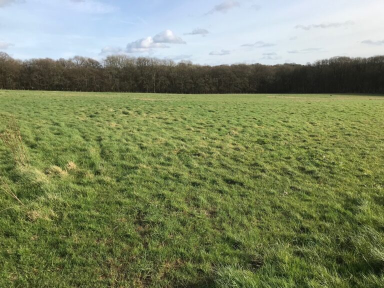 1654 e0c71b33b404cf8f57b157740ebc9aa5 1 768x576