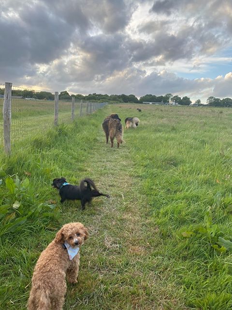 1654 e6a0555d239273f1b3282d3ef607ecbb 1