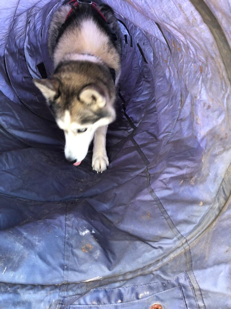 1655 3d487426c5069809be9340f006c348ad 1 768x1024