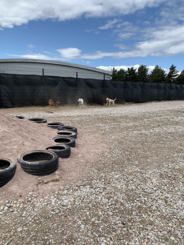 1655 7022a871fb92d9acd6ccc2e0570e34b7 1 768x1024