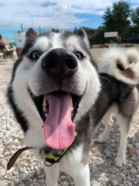 1655 8703c702426b3a5fed535c8e407707ee 1