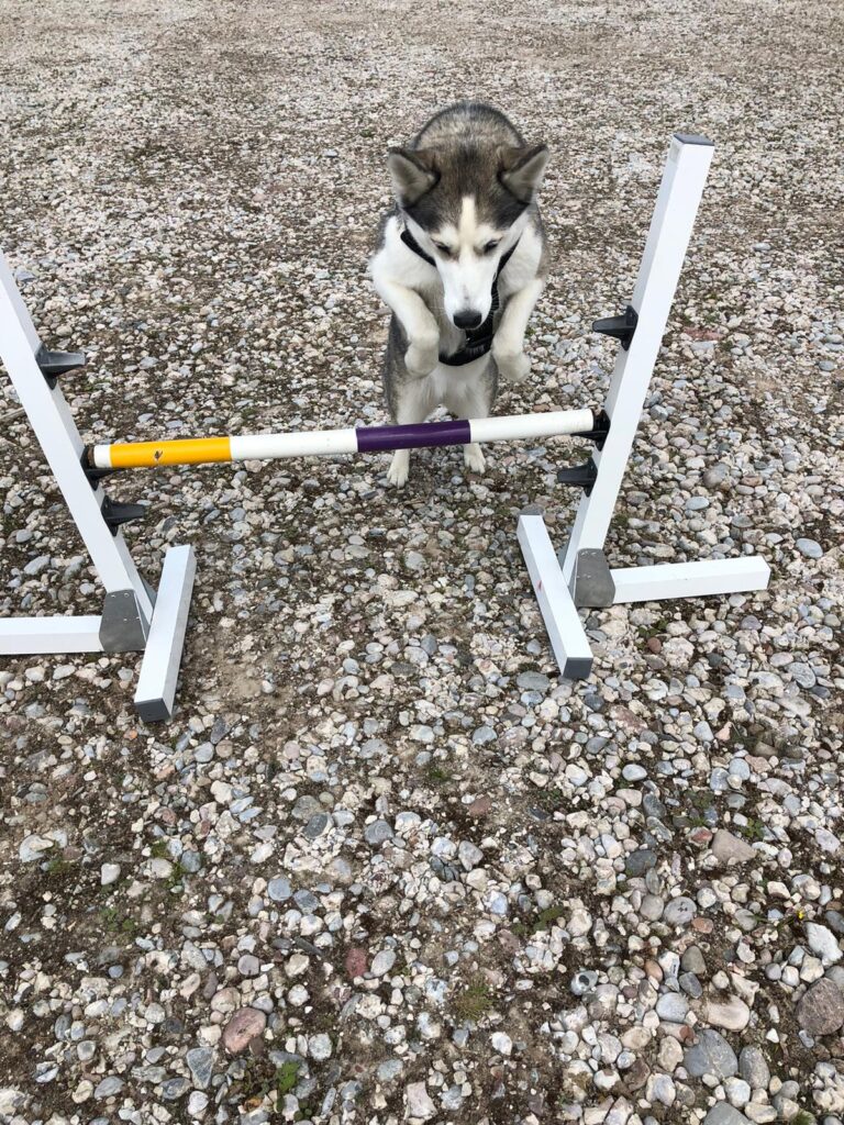 1655 ad3de78087f363c872bd78f7bdc465c8 1 768x1024