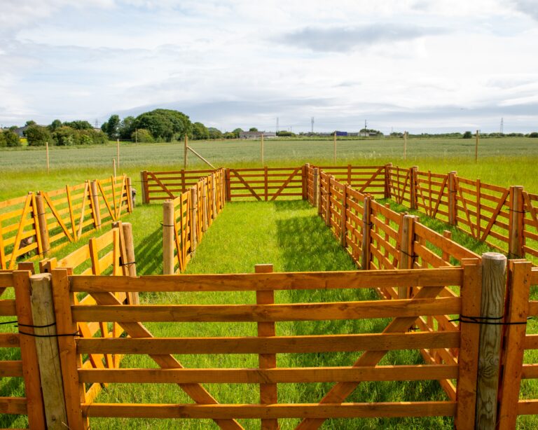 1657 4c35fc9e670e489eaca64bae28bc9b7b 1 768x614