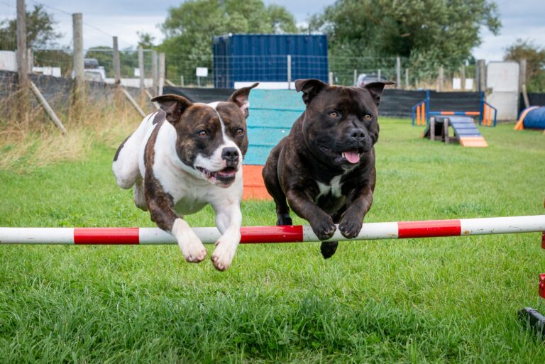 1657 84d1140b7ba92373fd1db8007dd54e4f 1 768x513