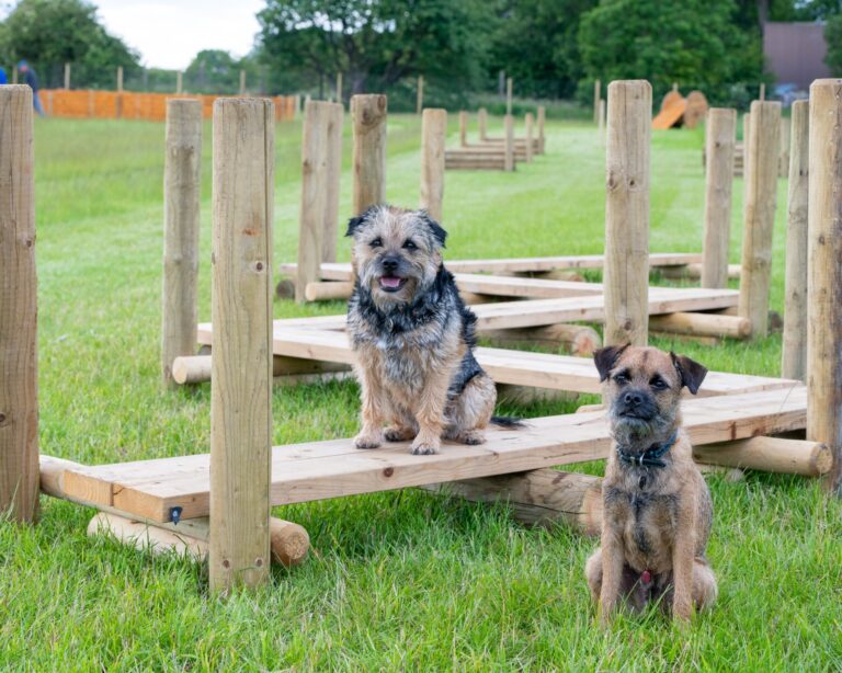 1657 86717b7f831a8e4e53745ad14cb8efed 1 scaled 768x614