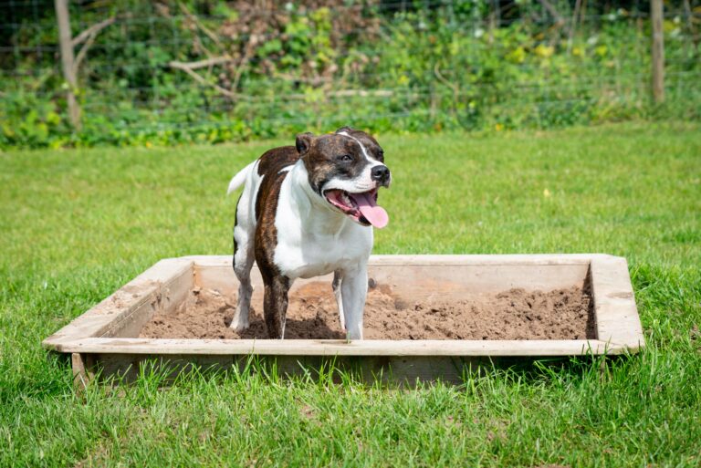 1657 bdf36815f0f37e474e5c44001a0887fb 1 768x513