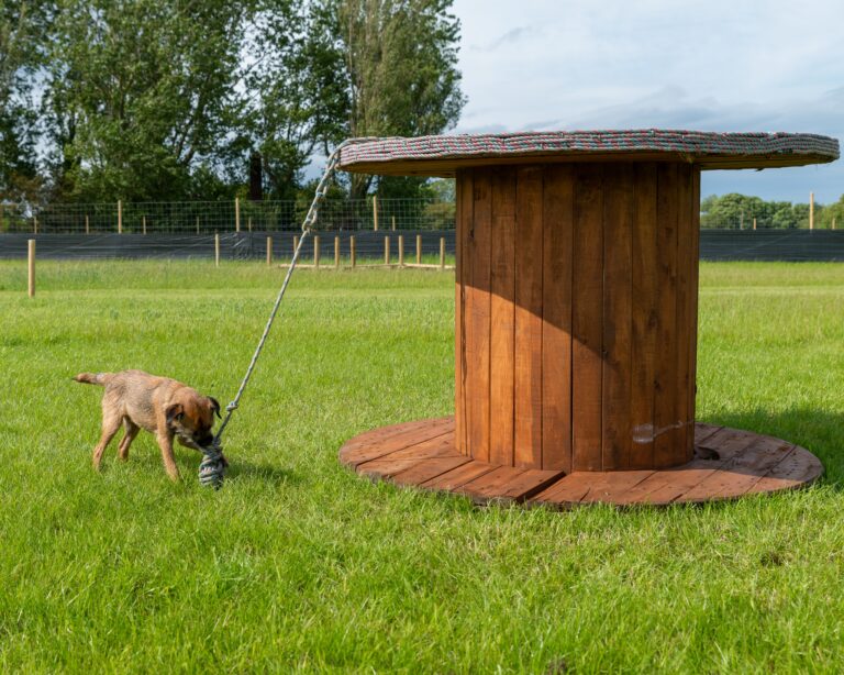 1657 c7b0e987e3b083c481d99b5e24979cee 1 768x614