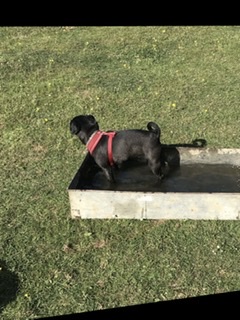 1658 032fd7f3e404da3753d4e1a4404d4cab 1