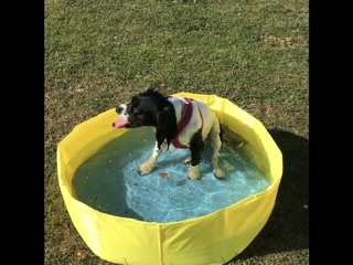 1658 2f589d0593868b7b0c759e7a8b4037a4 1