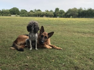 1658 52ce09899460be5fcfff21a01bea88ef 1