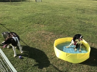 1658 d786e26e33992e9e0abd6750735d237b 1