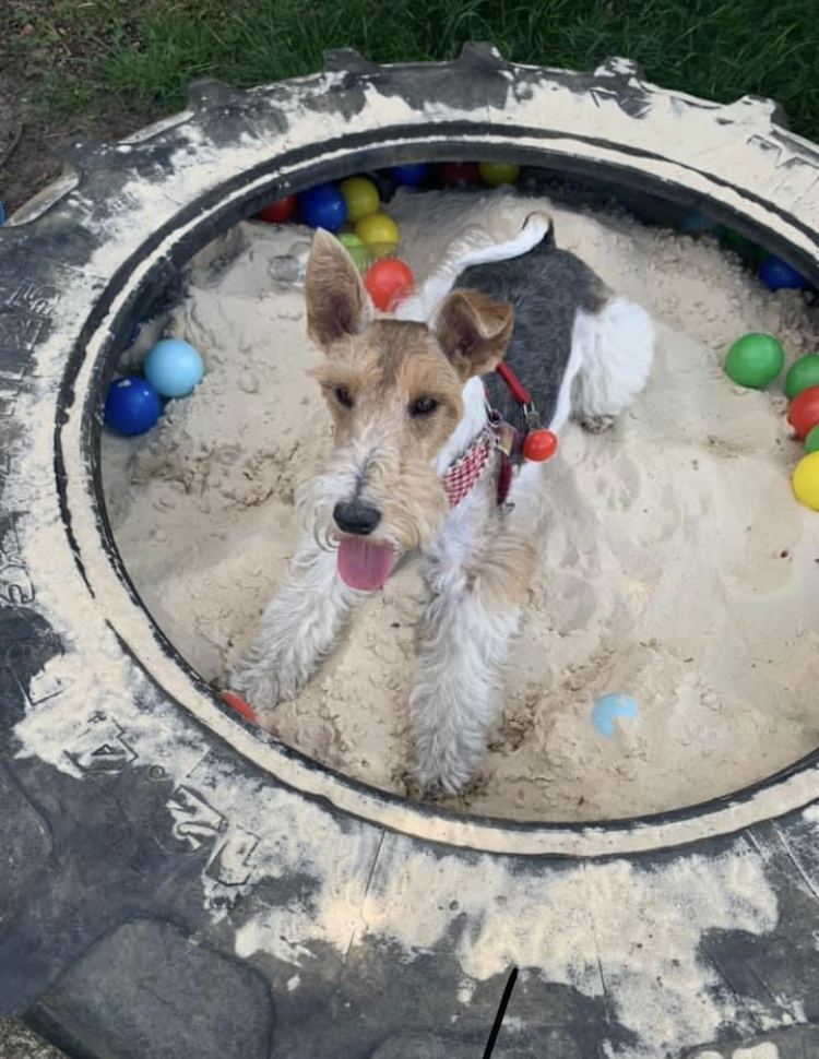 1659 49a964af5d0424fea3c622ee400ac448 1