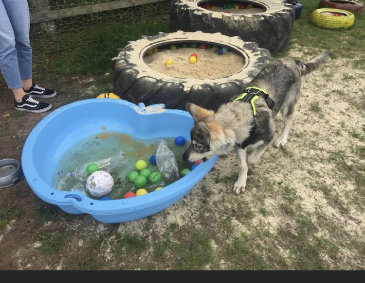 1659 99b0059cfd90a9823dd4246c6955160a 1