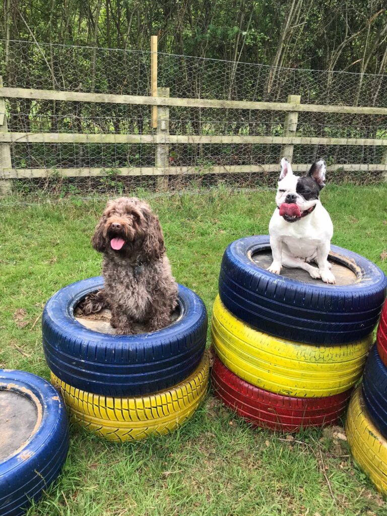 1659 a436bdf2cd27f445ff5c84538e3ba8f7 1 768x1024