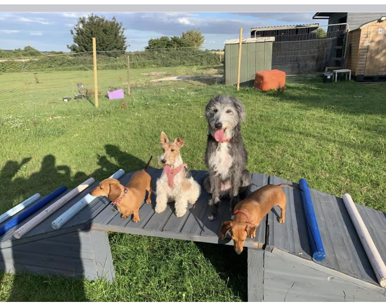 1659 fa7b4dee96b8ef4a77471ff9ec3c4f2c 1