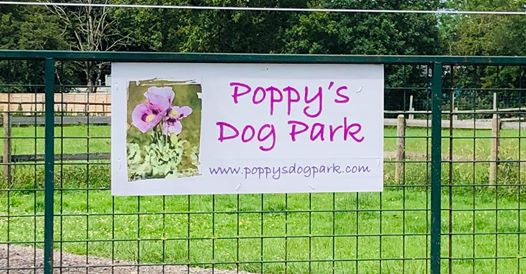 1660 1260ead51313828de4c0303cf97316a5 1