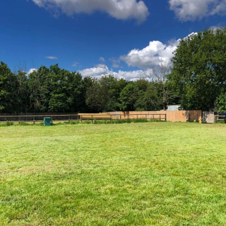 1660 2cebade2d5865b5a1fbc745889bdc723 1 768x768