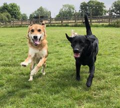 1660 465099d6eacc438b7dea86937b90887a 1