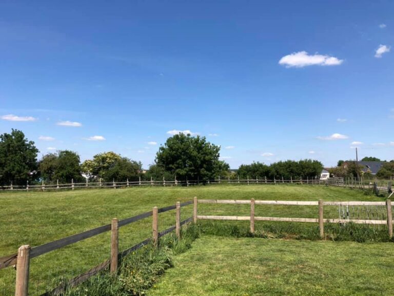 1660 59f221519cc725af57f119581d1b77a7 1 768x576