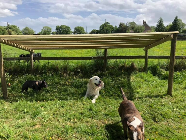 1660 892fbe0369add31b73a1698e0271a10a 1 768x576