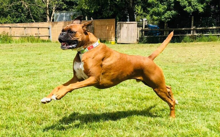 1660 e8e4ddab258289247eff4cdacf4e9946 1 768x480