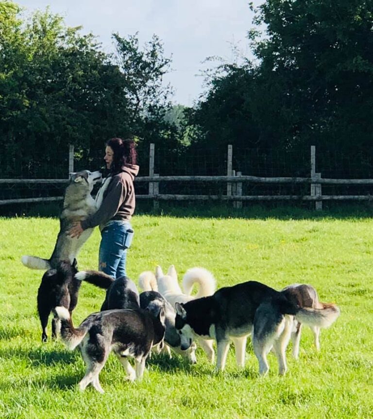 1660 f0e420c6e56d29b2e62a18ac5cc67cc0 1 768x861