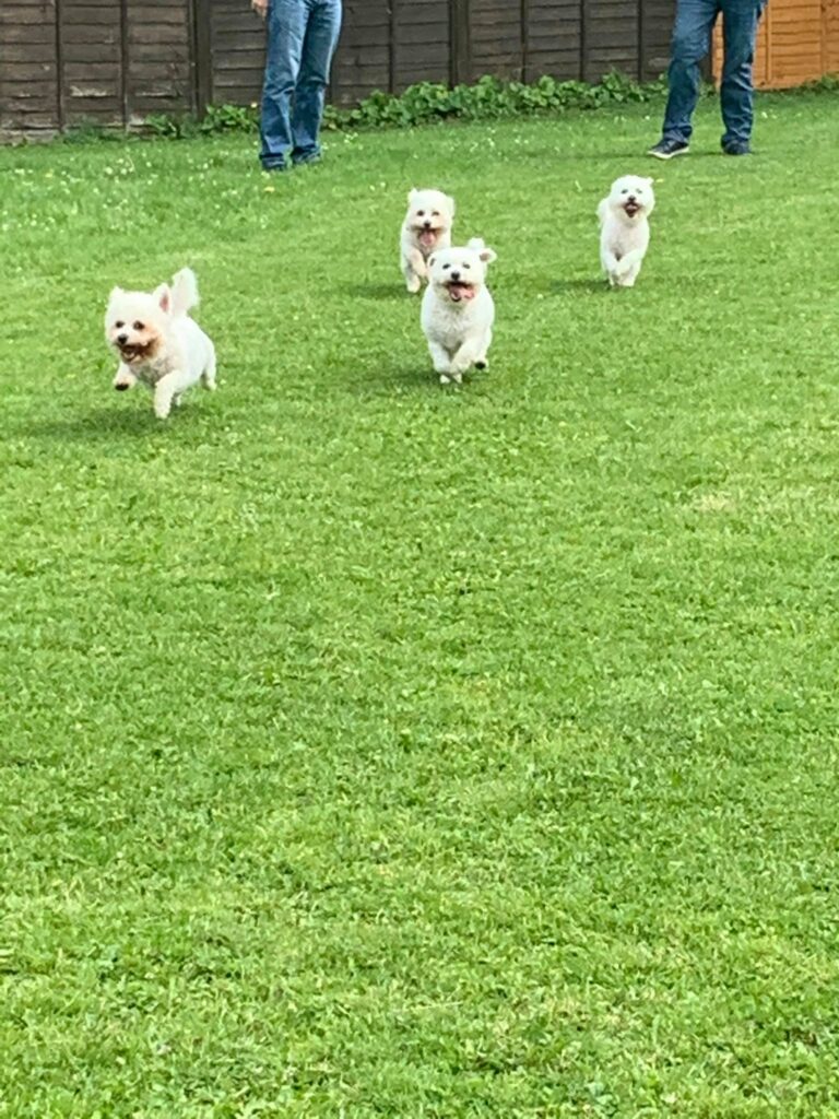 1661 2bbac78b34ed5023f4e979be32e931db 1 768x1024