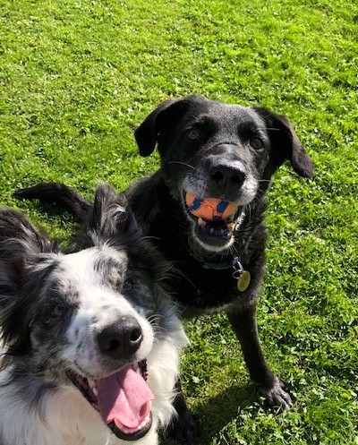 1661 2d72529002cd181e4dd3ae0c6b2aff25 1