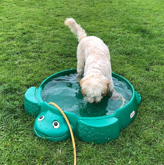 1661 5402f5e7f4c745ef072dee4f4a6aa282 1