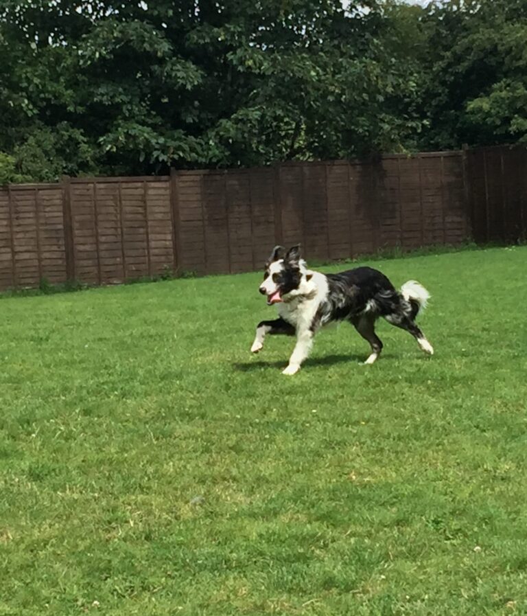 1661 6eeb7caafa2f139eed1f2a91b0f19fe0 1 scaled 768x897