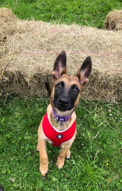 1661 96ac2f6bd1f80f172ff65cc959d77e4f 1