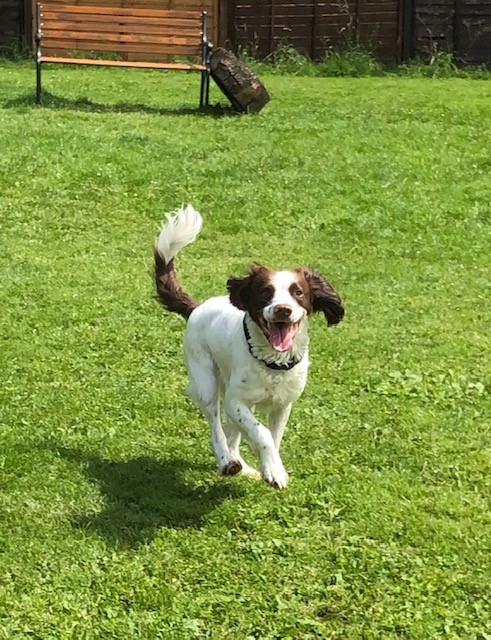 1661 cddb9586411a656732b50bedc669881d 1