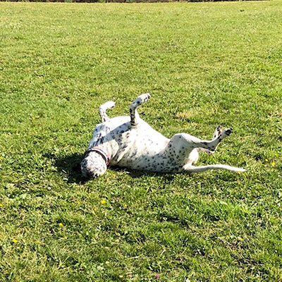 1661 d4585d6be32d58e235164a826b3b31bb 1