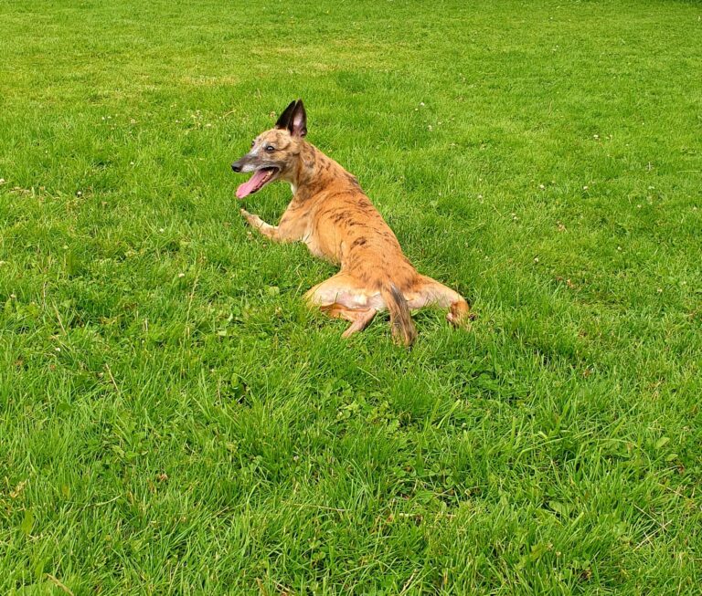 1661 d968a179352f796a91422280e0dffe00 1 768x653