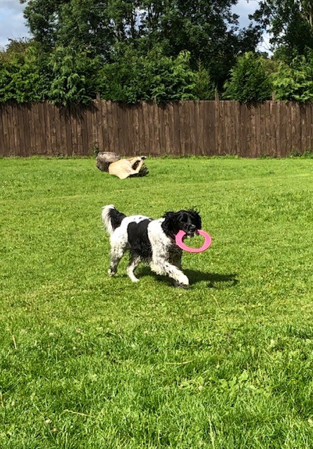 1661 db009db22f5e7f3446473dfb8157845e 1