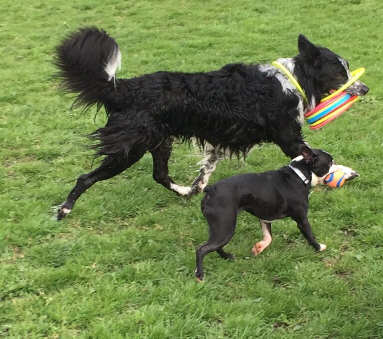 1661 e13841197d27b050536b9980ed949557 1 768x679