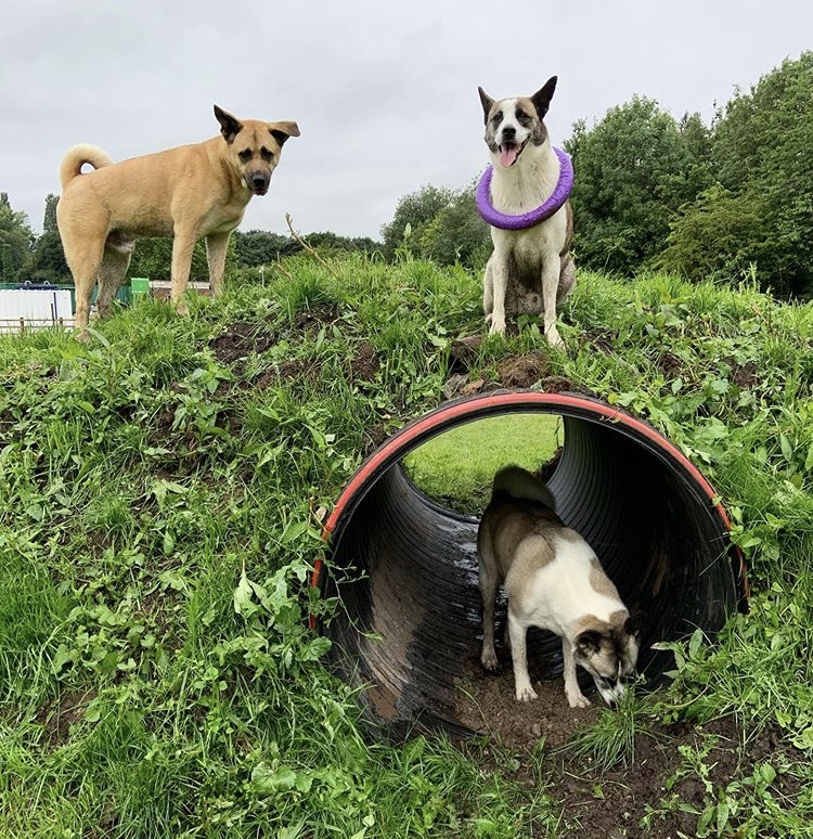 1662 397bb37ab749d385b6e57c77c1b9c184 1