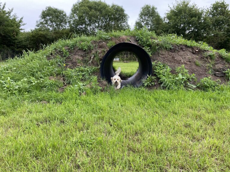 1662 9a60192933bac81390a8767d917333f6 1 scaled 768x576