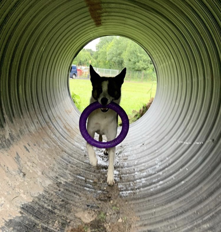 1662 ee00d36b90ad0219cebeff28a17648cd 1