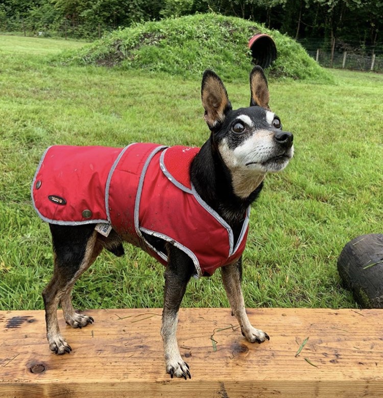 1662 f4fa22332c150d58c8f734f65131ef95 1