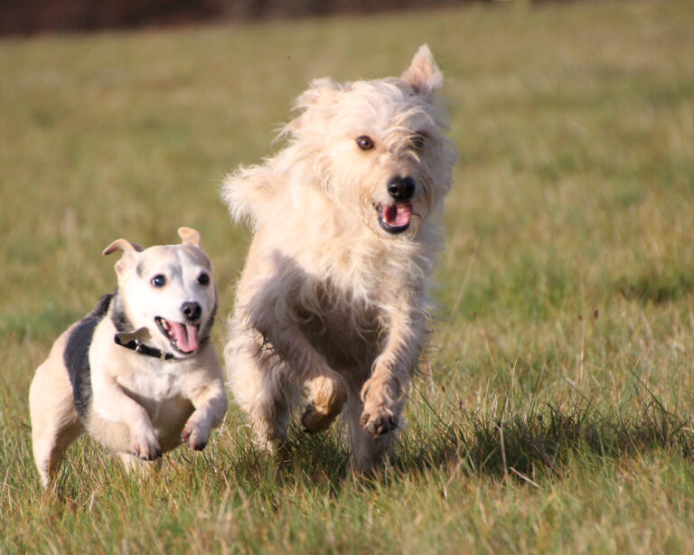 1663 0308644198c4d840961b1238b537ae45 1 scaled 768x614