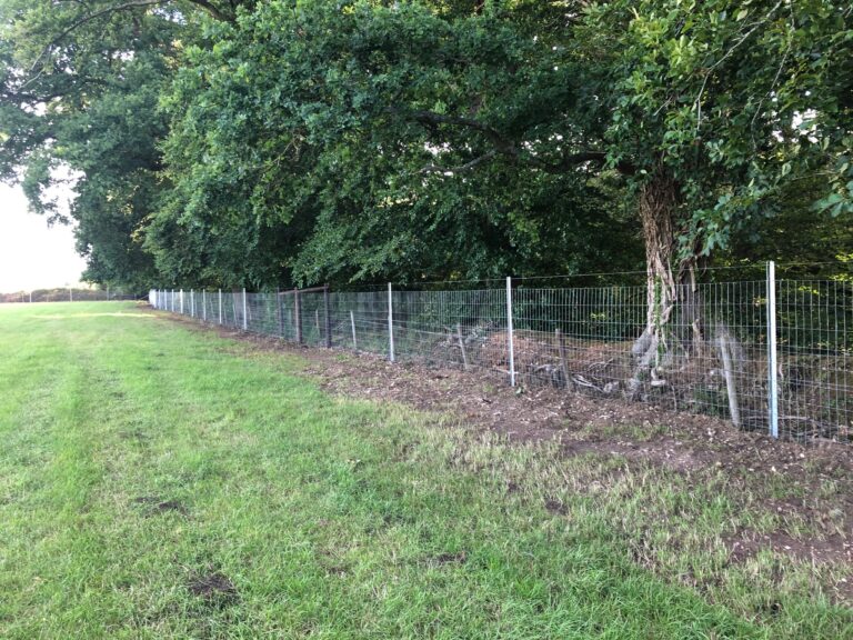 1663 1d332ff0b6a17d570cee500dcb0bbc5c 1 768x576